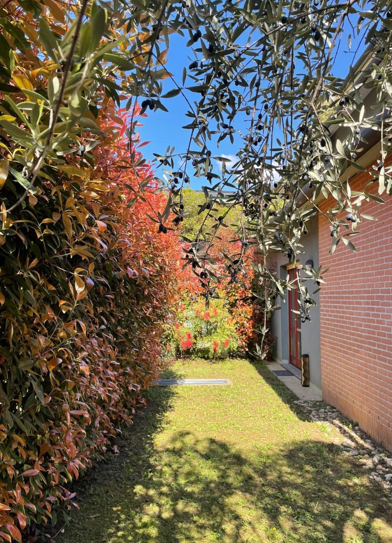 L'Ulivo Di Como Apartment ภายนอก รูปภาพ
